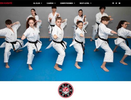 NSN Karate / Diseño web